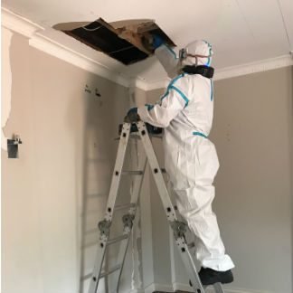 Mould Remediation