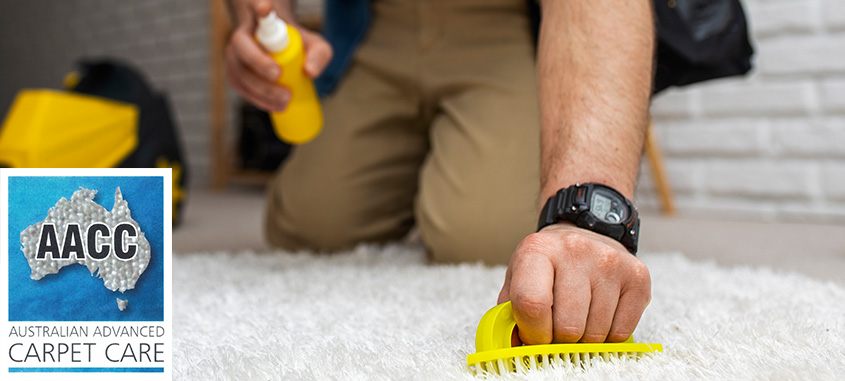 Affordable Cleaning Services Melbourne - AA Carpet Care
