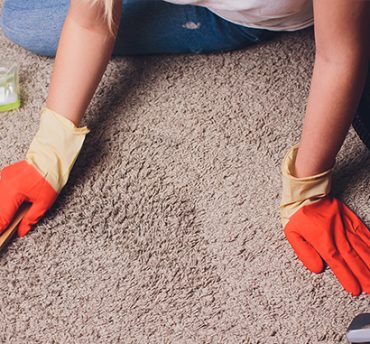 Why Professional Carpet Cleaning Is a Must for Business Owners