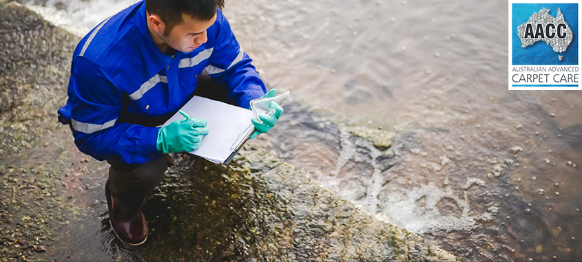 Sewage De-Contamination Specialist - AA Carpet Care Sewage De-Contamination Specialist